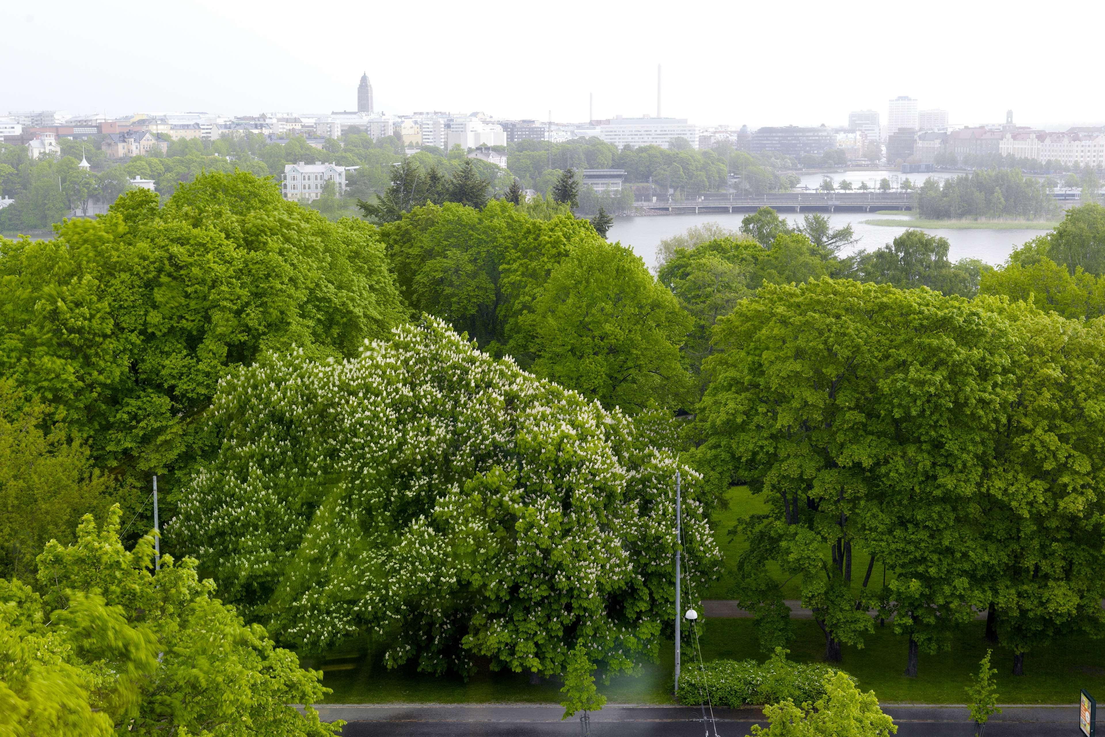 Scandic Park Helsinki Hotell Exteriör bild